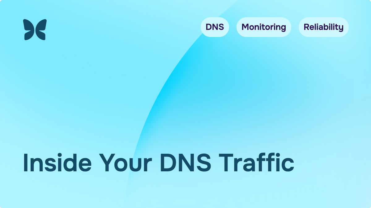 What DNS monitoring catches (and what it can't)