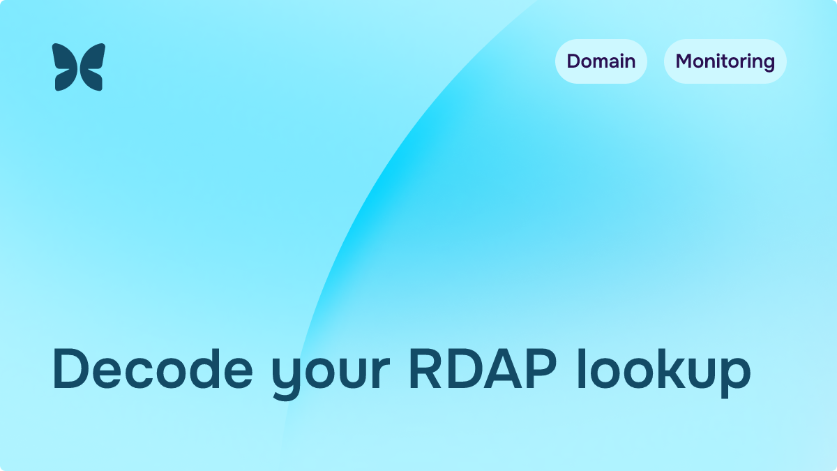 How to read an RDAP JSON response